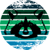 raccoon