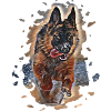German Shepherd art