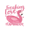 flamingo