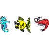 Marine | Seahorse Fish Shrimp