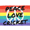 Frieden. Liebe. Kricket