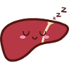 Liver Cute Kawaii