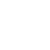Basset Hound