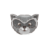 raccoon