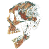 Camo Skull