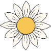 daisy