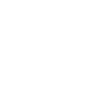 Geometric lioness