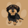 Teckel, Teckel, Chien, Illustration