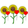 Congratulations birthday gift flower