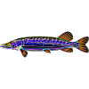 Hecht Neon
