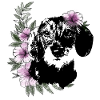 Dackelmädchen
