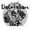 Dalmatian