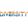 Diversity Diversity Rainbow Flag