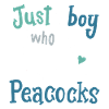 Peacocks birds peacock peacock lovers