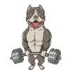 American bully transparent background