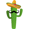 Fun Cactus