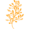 Flore jaune