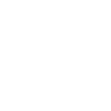 Evolution Voltigier Chevaux Équestres Voltige