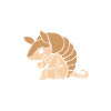 armadillo