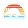 Armadillo