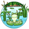 Yoga Frog in the Pond