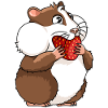 Thick guinea pig with strawberry