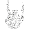 RockNRoll