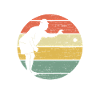Tu Tires Ou Tu Pointes Pétanque