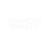 Sondeln Sondler Einsatz