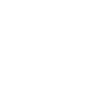 poodle
