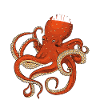 Large octopus octopus squid