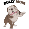 American Bully