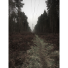 twigmoor