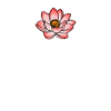 Knead A Massage, massage thérapist