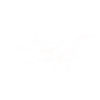 plane 2