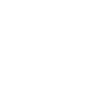 Welsh Terrier « Black Edition »