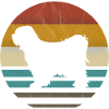 Tibet terrier retro