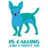 Chihuahua Dog