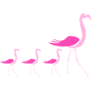 Flamant rose