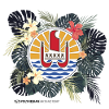 drapeau polynésien nature
