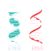 Biology teacher Biologist Microbiology Biologist