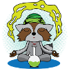 Yoga Raccoon Shirt