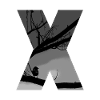 Oiseau solitaire X