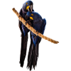Hyacinth Macaw Pair
