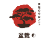 Bonsai Tree Yin e Yang Simbolo Giappone Meditazione