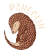 Pangolin pangolin sweet gift