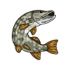 pike