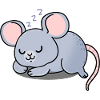 Maus schlafend