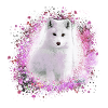 polarfuchs, fuchs,pink,aquarell ,malerei