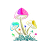 Mushroom Trip Magic Mushrooms